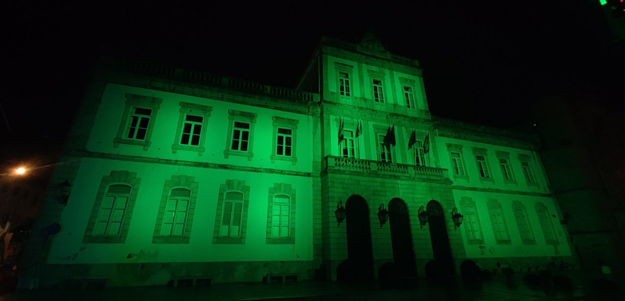 “Shine Green for 22q13” | PMSF